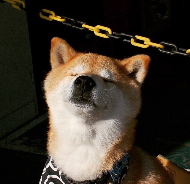 _人工智能助力训练,提升运动员比赛表现_,人工智能锻炼