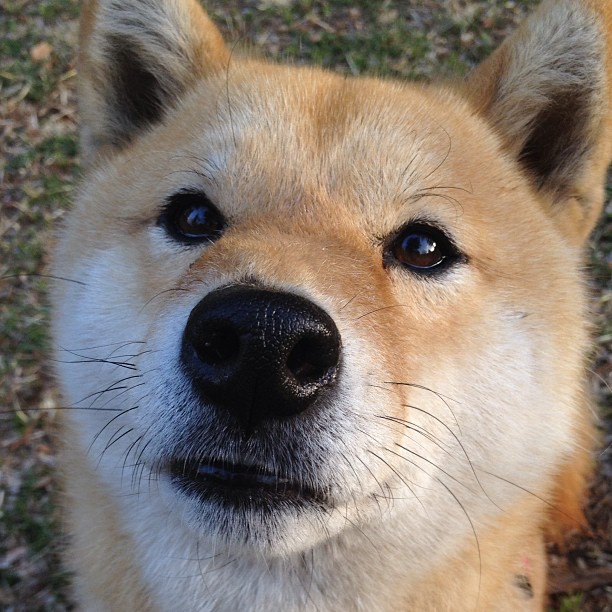 _人工智能运动分析:科学训练更进一步_,人工智能体育训练解决方案
